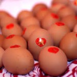 Glückszeichen beschriftete Eier