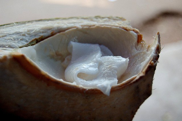 coconut-meat1